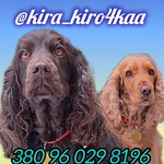Kluchko  Kira 